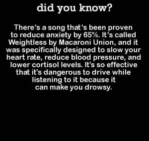 calm Did_You_Know_Song