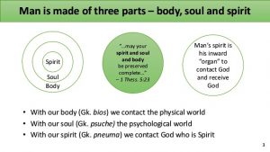 The Human Spirit