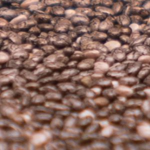 Chia Seed Super Food