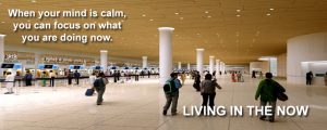 Live In The Moment